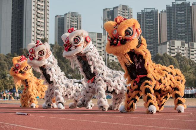 乡村传统舞狮比赛，文化的节奏与运动的激情