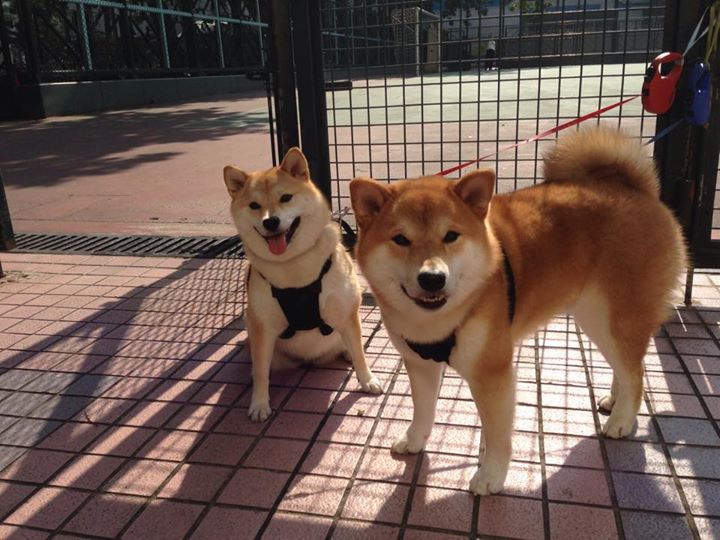 _新技术亮相:无人机全景直播高效呈现比赛_,无人机拍摄直播