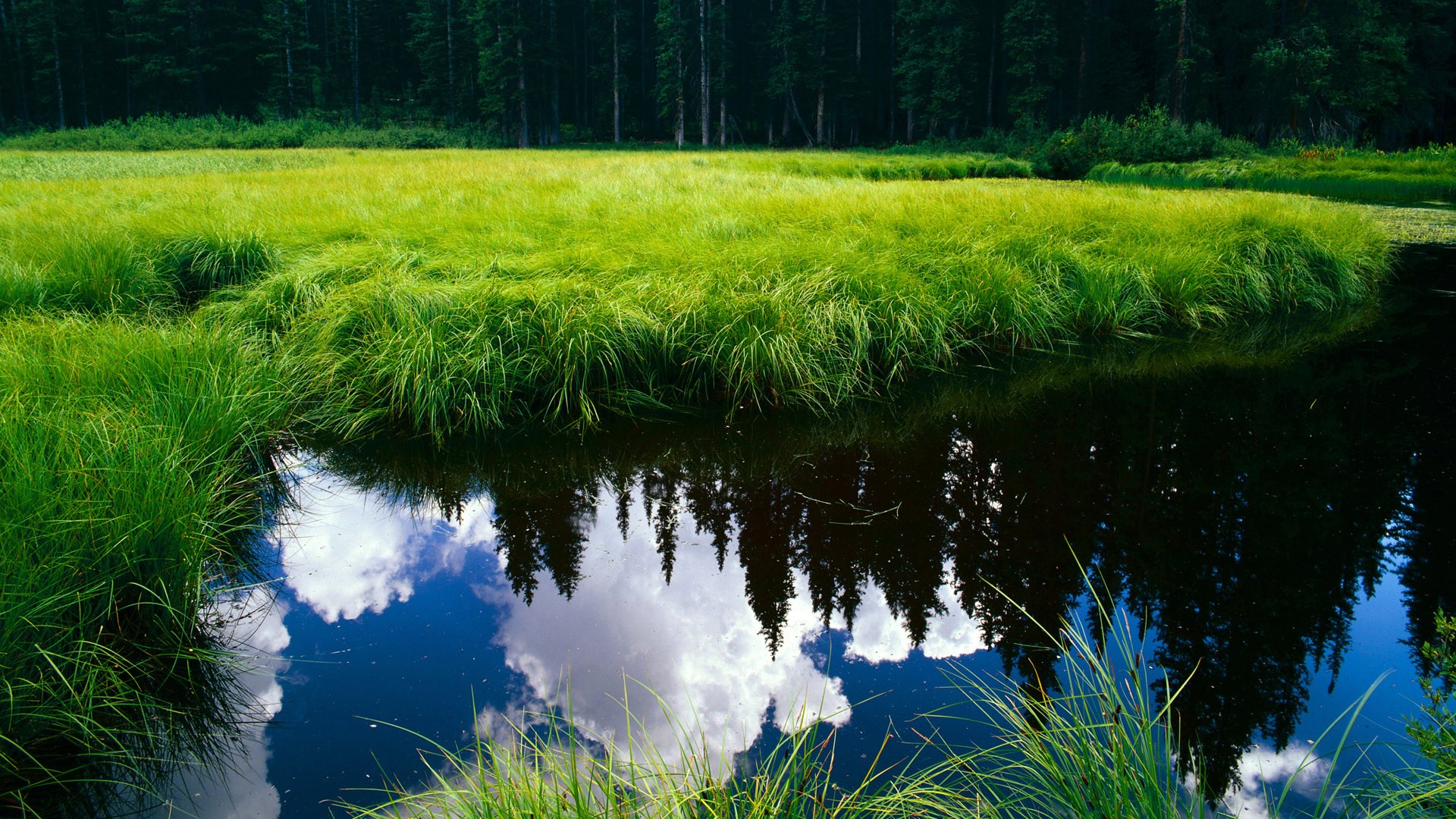 “极速逆袭：惊心动魄的超车瞬间”，极速突袭全本免费阅读