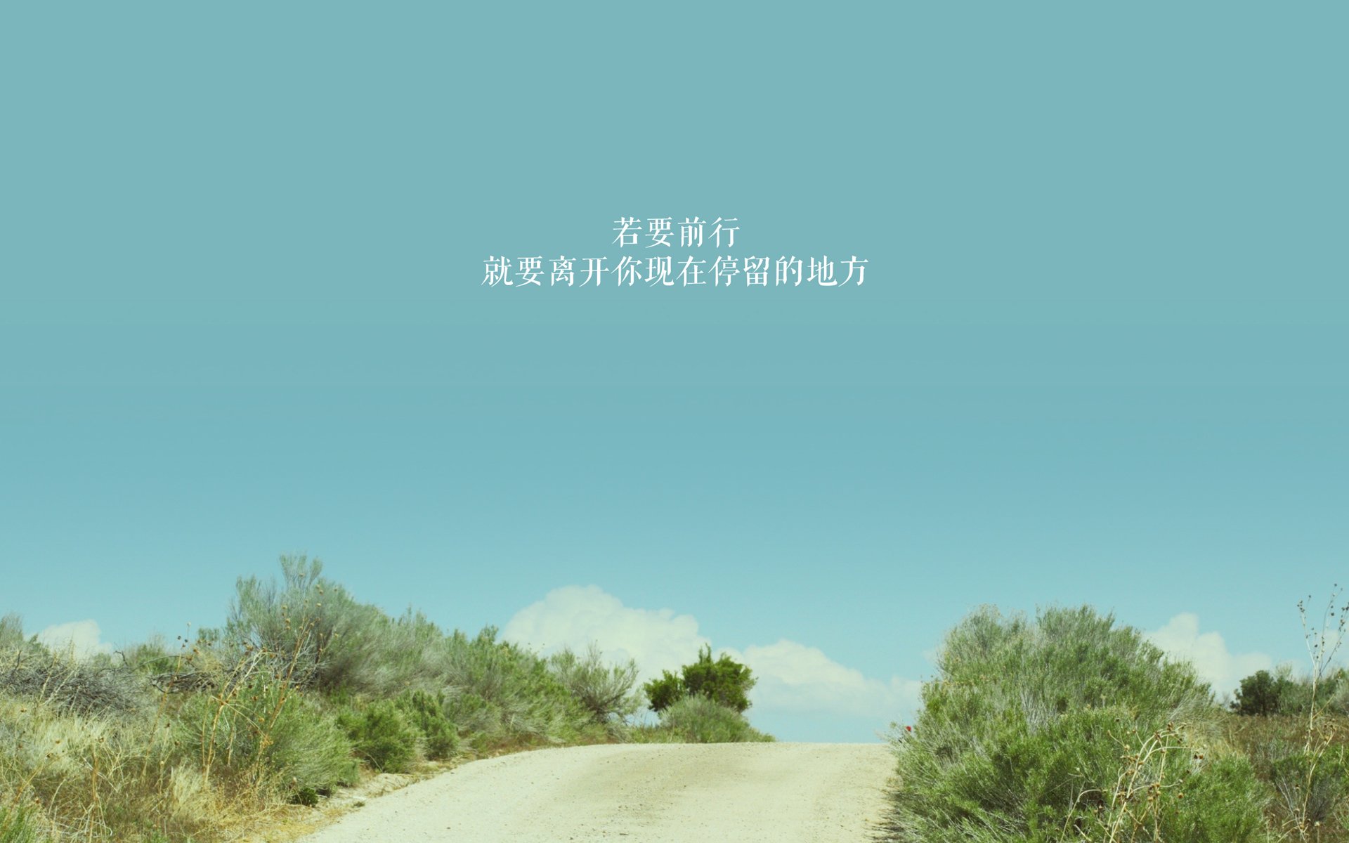 “极限漂移：高速弯道中的速度与美学”，弯道漂移超车