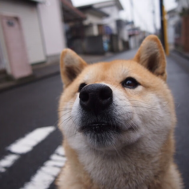 葡萄牙在欧洲杯小组赛中0-2不敌格鲁吉亚,爆出大冷门。,葡萄牙队欧洲杯预选赛成绩