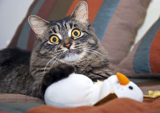 足球主题酒店落户南京打造球迷文化空间,南京足球主题公园