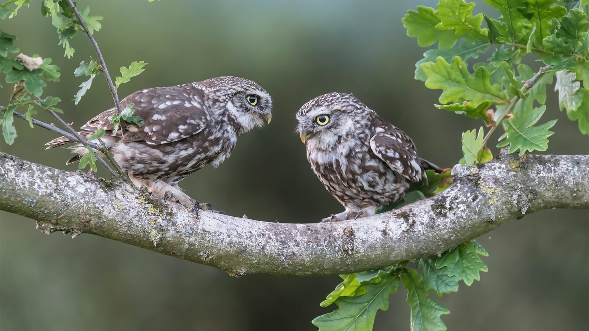 足球产业背后：投资创新推动联赛升级，足球产业规模