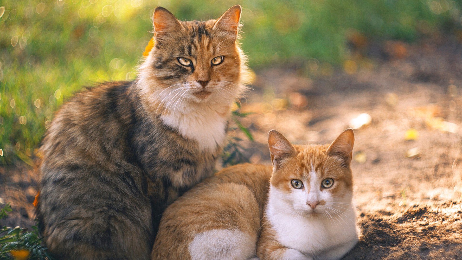 保利斯塔比赛节奏控制稳定，啊苏保利斯塔