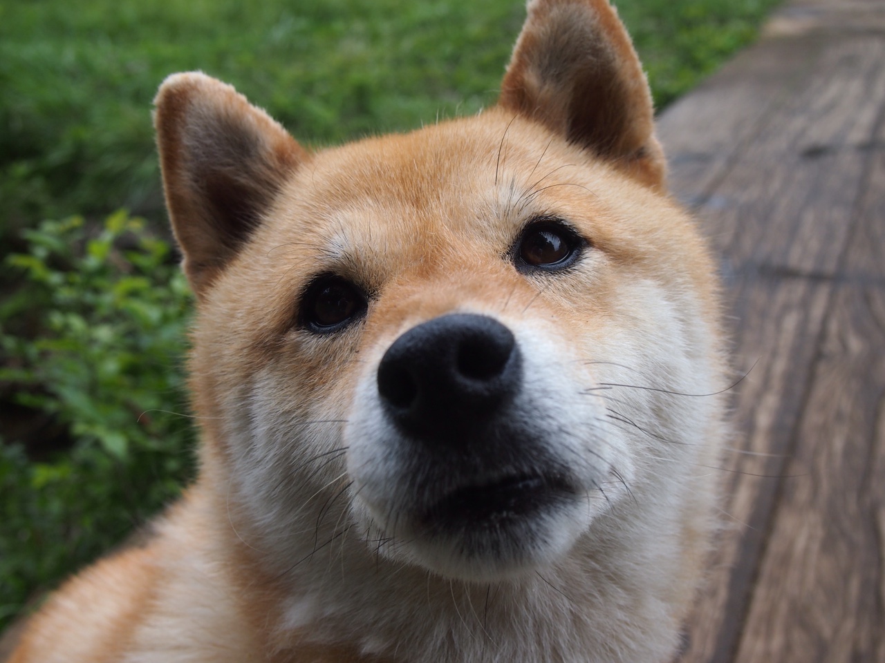 保利斯塔比赛节奏控制稳定,啊苏保利斯塔