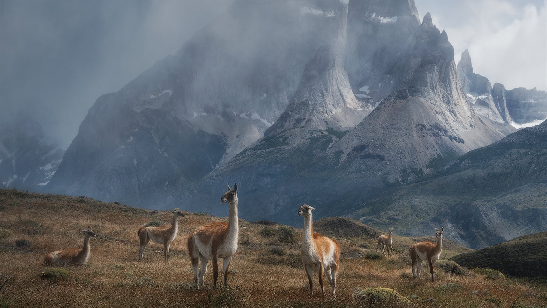 利物浦客场力克谢菲联,继续领跑,利物浦客场力克谢菲联,继续领跑球员