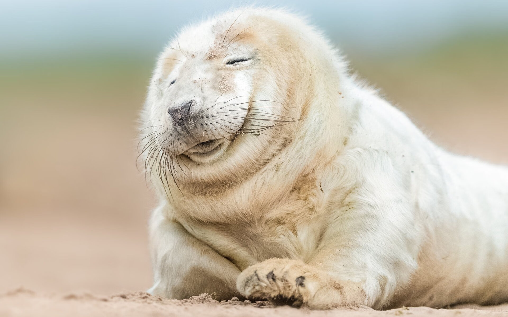 巴黎圣日耳曼中锋进球效率极高,值得关注,巴黎圣日耳曼引进球员