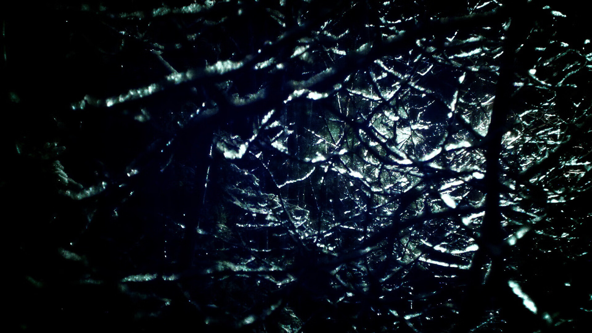 意外游泳主场赛事取消，意外游泳主场赛事取消原因