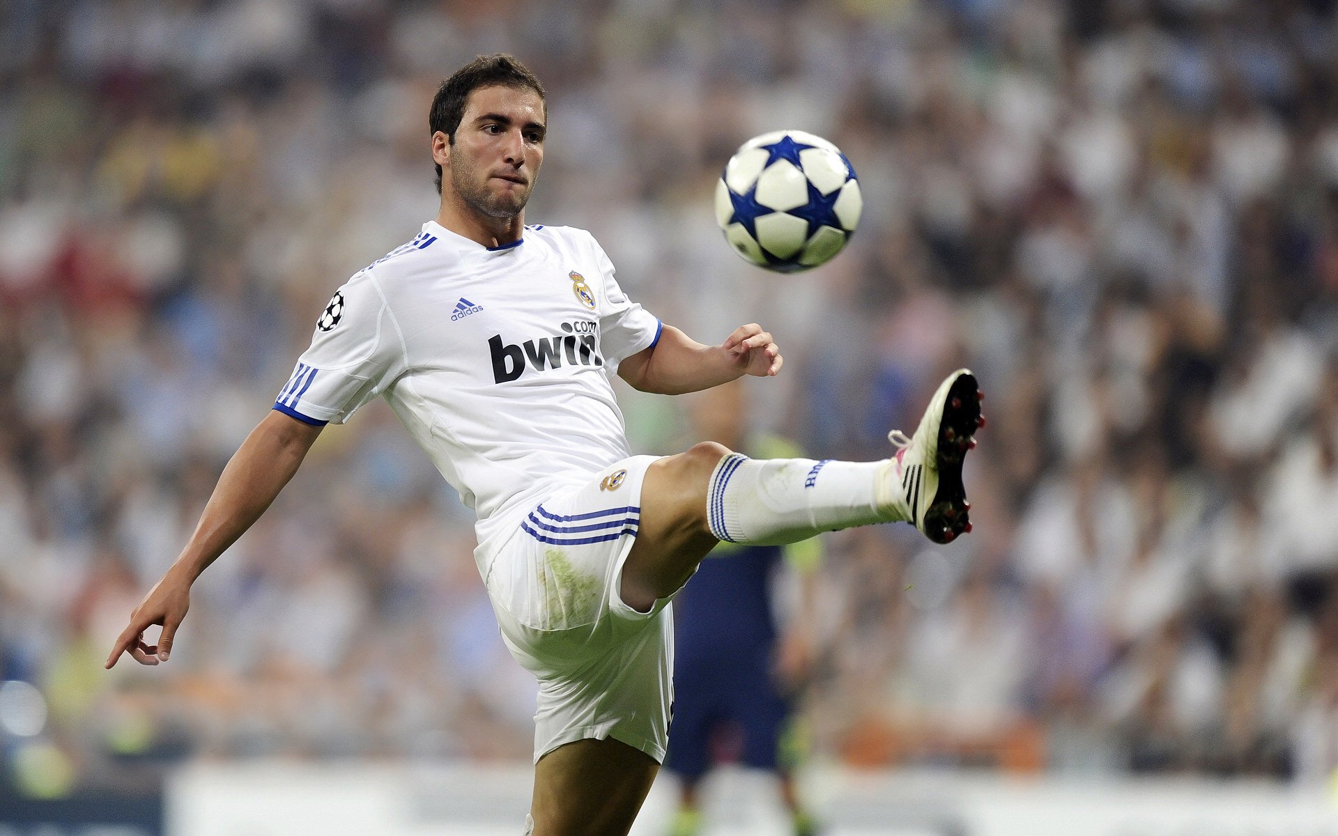 数据分析是否真的能提升胜率,数据分析后能得到什么