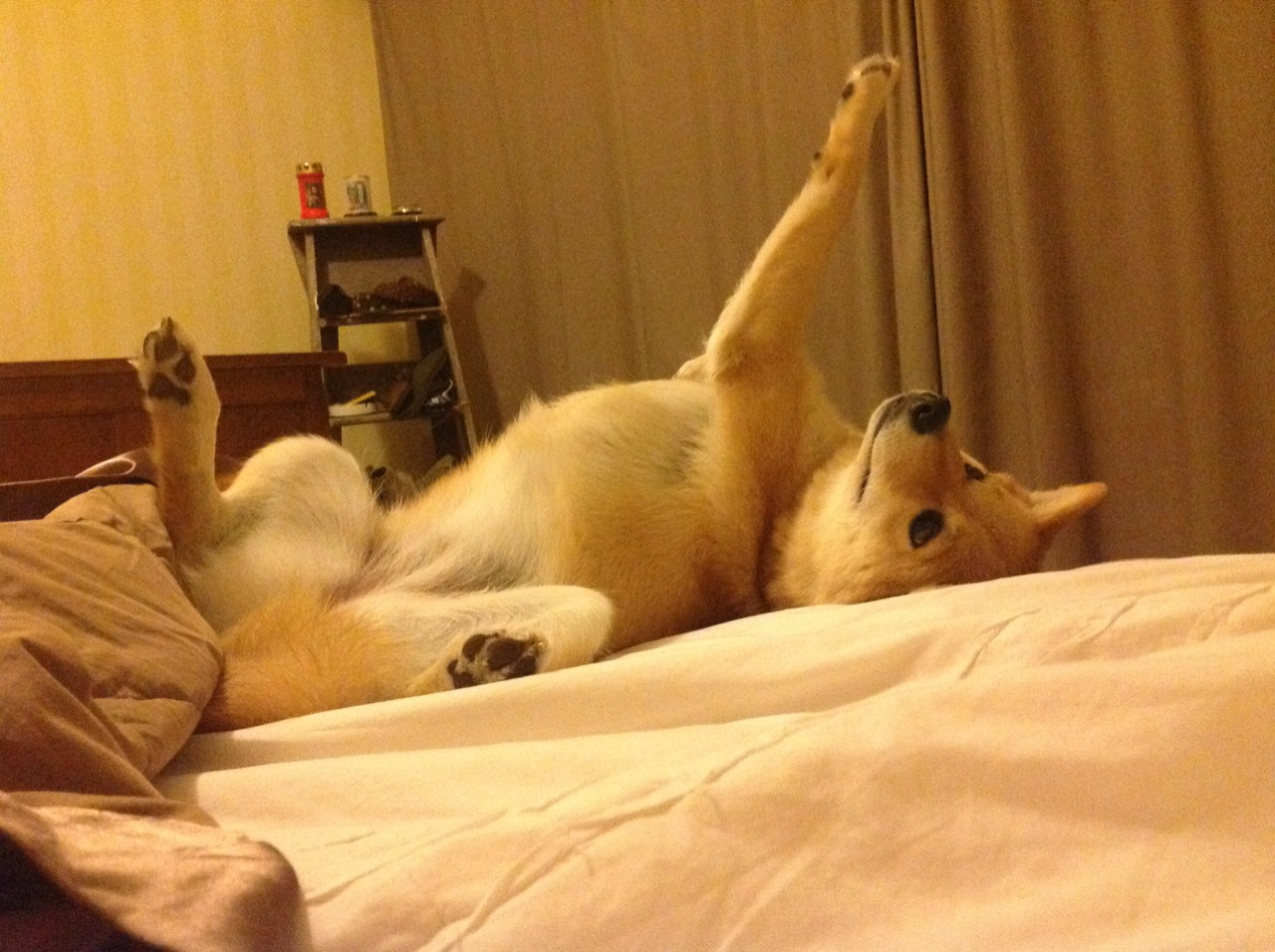 水晶宫客场输给利兹联,英超保级形势比预期更为严峻,水晶宫在英超什么水平