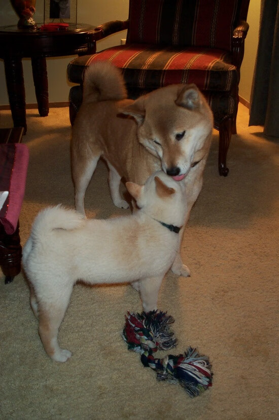 防线夹击策略是否已超越盯人防守效能,防线夹击策略是否已超越盯人防守效能的