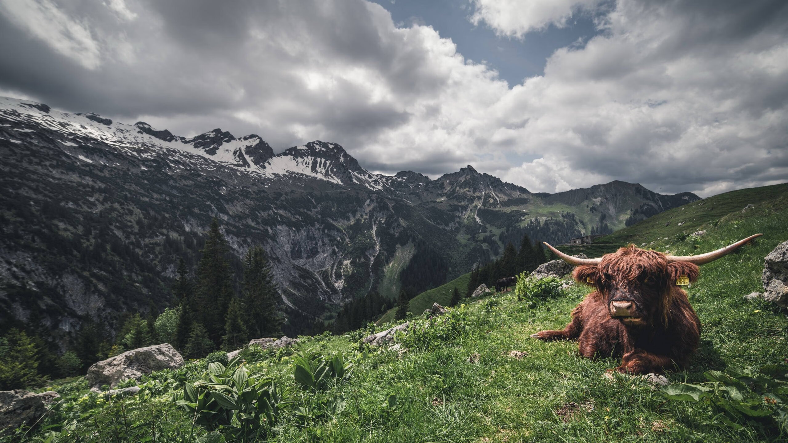 中国足球进攻端战术依赖点趋势统计,足球进攻战术分为哪三种