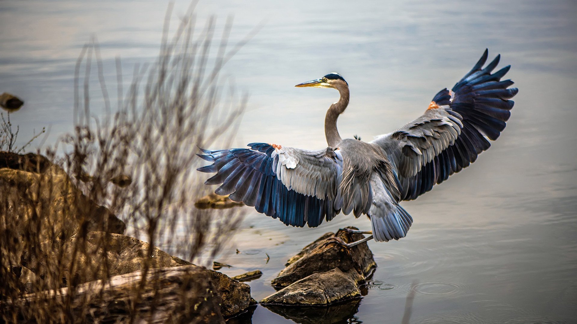 德甲数据分析驱动下的前场压迫效率评估模型，前场压迫原则