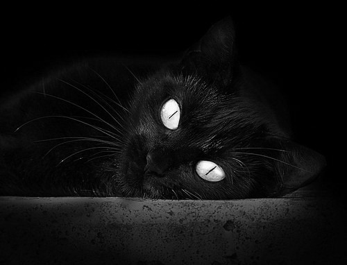 英超球队构建语义事件数据库用于VAR争议教学分析,2021年英超各球队英文简写