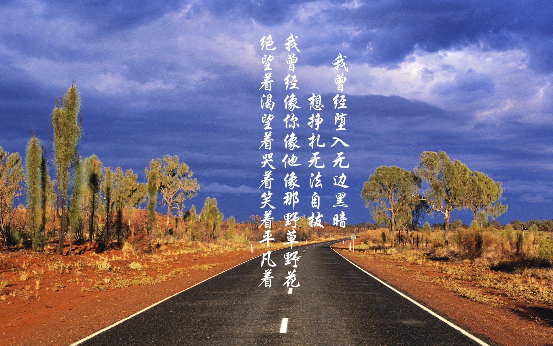 球衣销量排名球迷最爱球星出炉,球员球衣销量排行榜