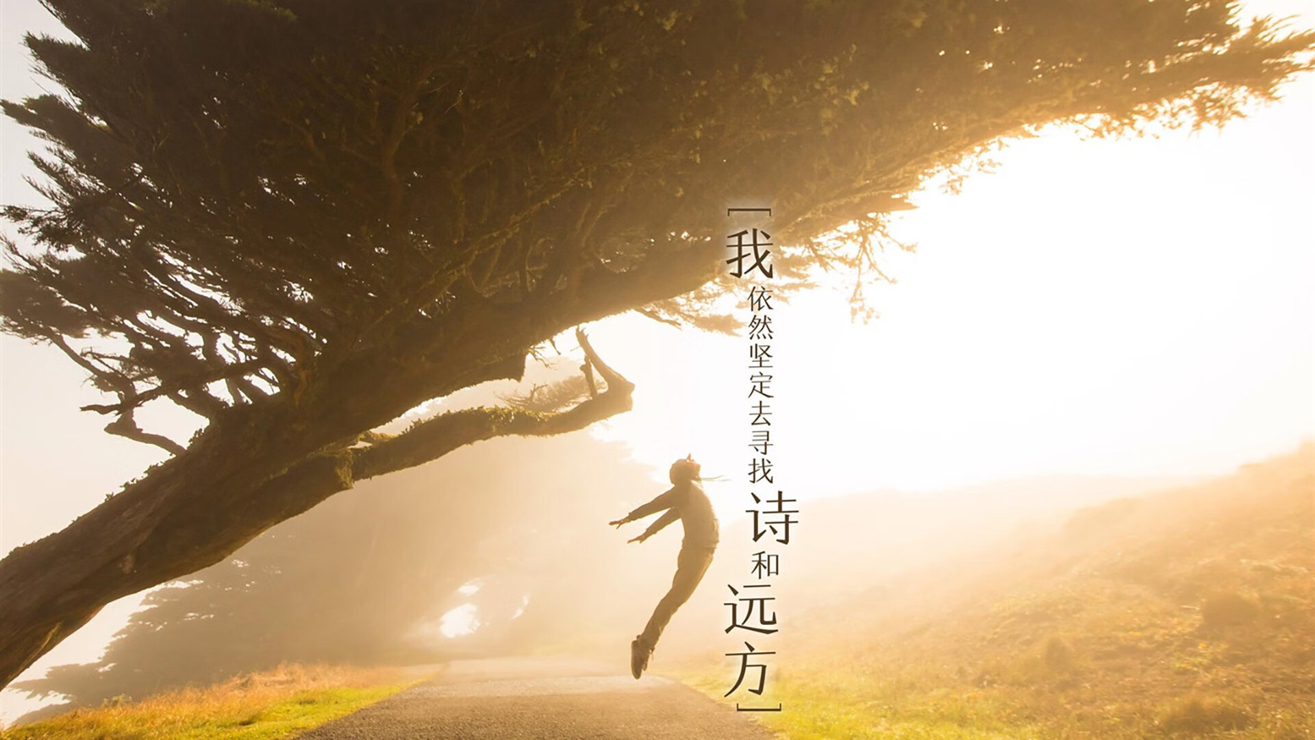 张雨霏目标直指巴黎奥运会领奖台，张雨霏已入账4枚奥运奖牌