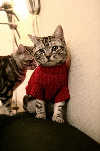 青年锦标赛促进人才流动,青年人才活动方案